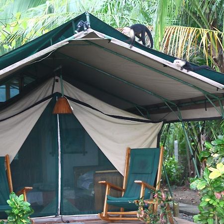 Rafiki Beach Camp Bed & Breakfast Matapalo  Exterior foto