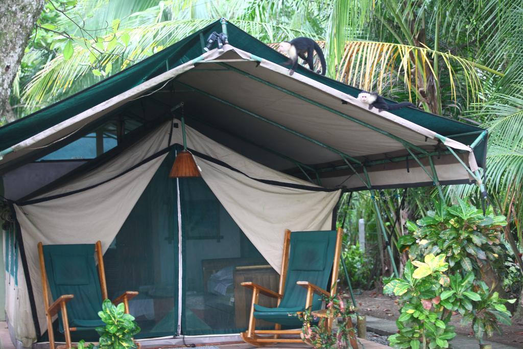 Rafiki Beach Camp Bed & Breakfast Matapalo  Exterior foto